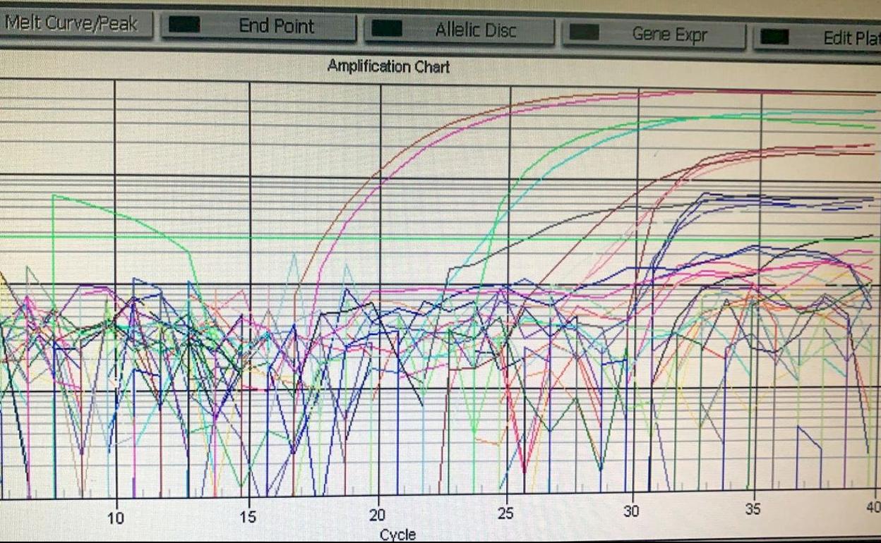 'Superpositivos' en un análisis de pruebas PCR en León. La curva superior, mucho más elevada, define su presencia. 