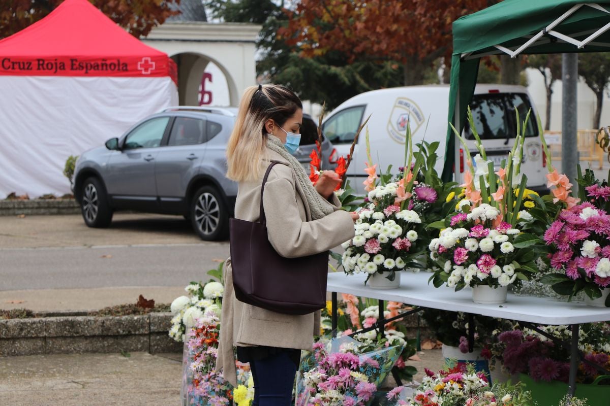 Fotos: Víspera de Todos los Santos en el cementerio de León