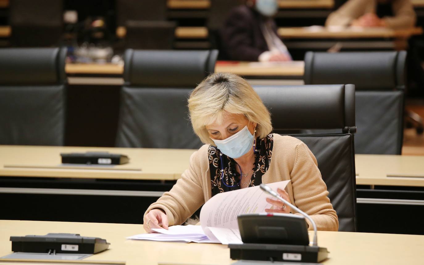 Pleno de las Cortes. 