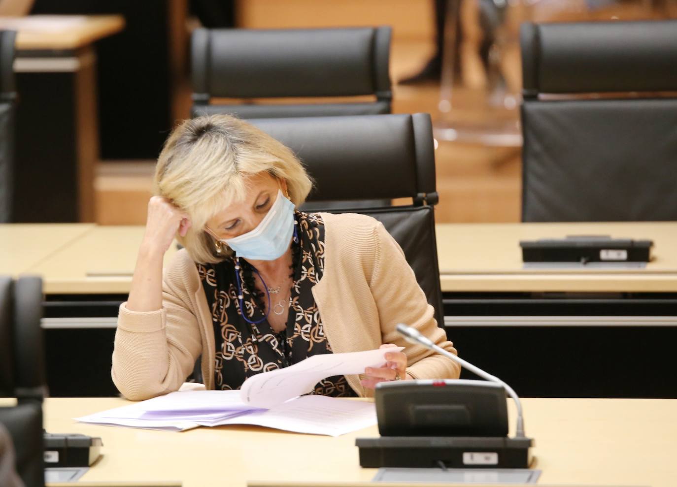 Pleno de las Cortes. 