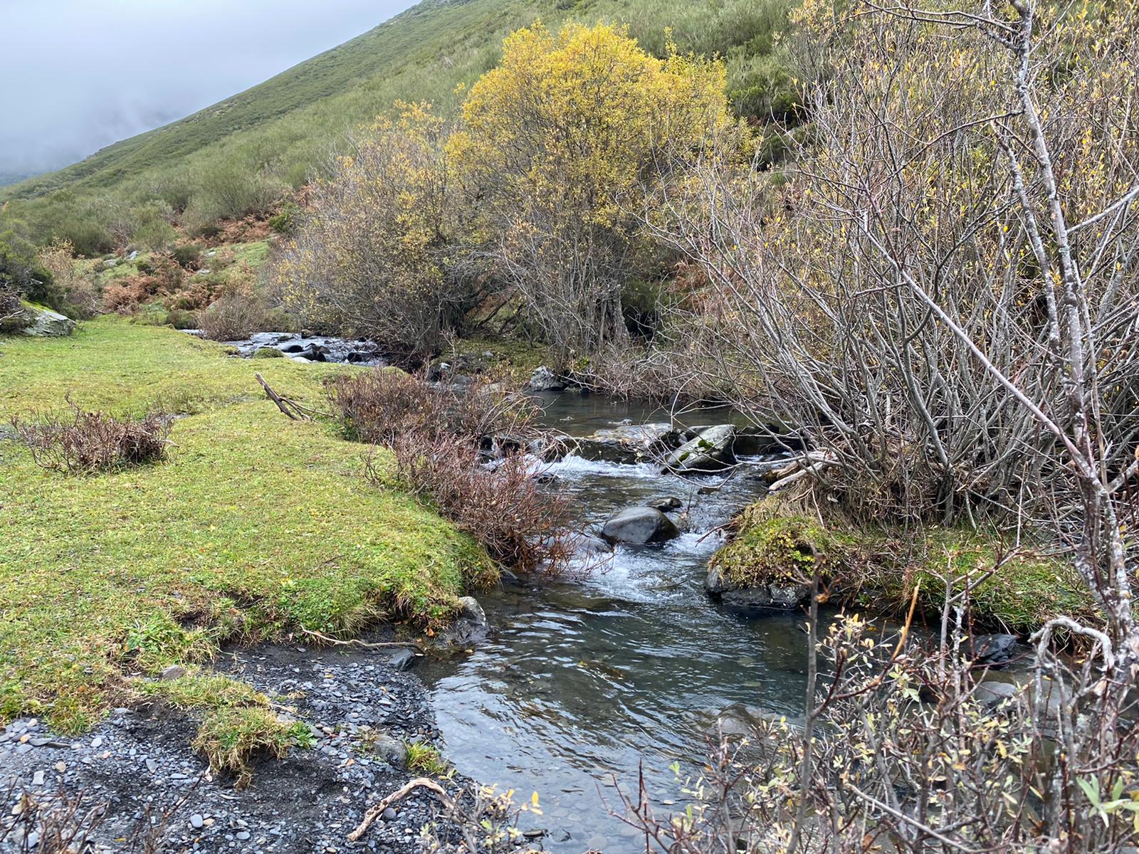 Imagen de la cascada del Reguero Cándano