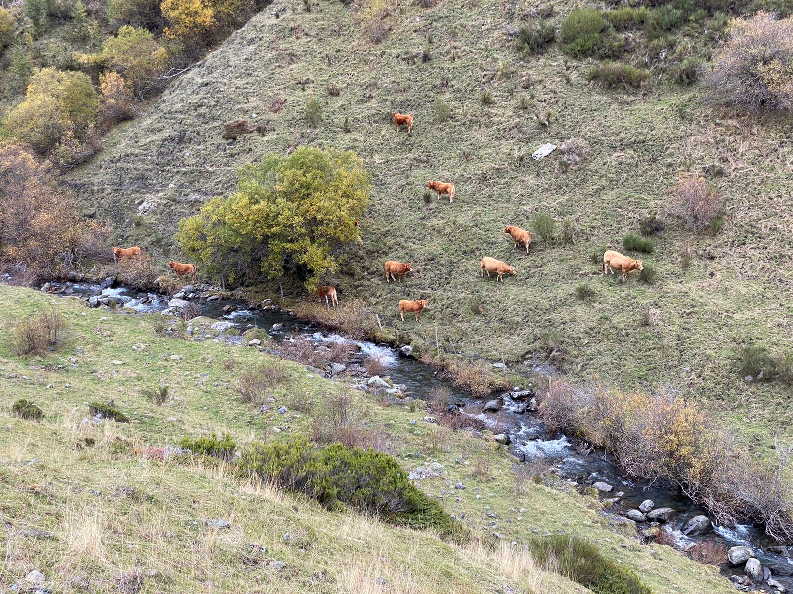Imagen de la cascada del Reguero Cándano