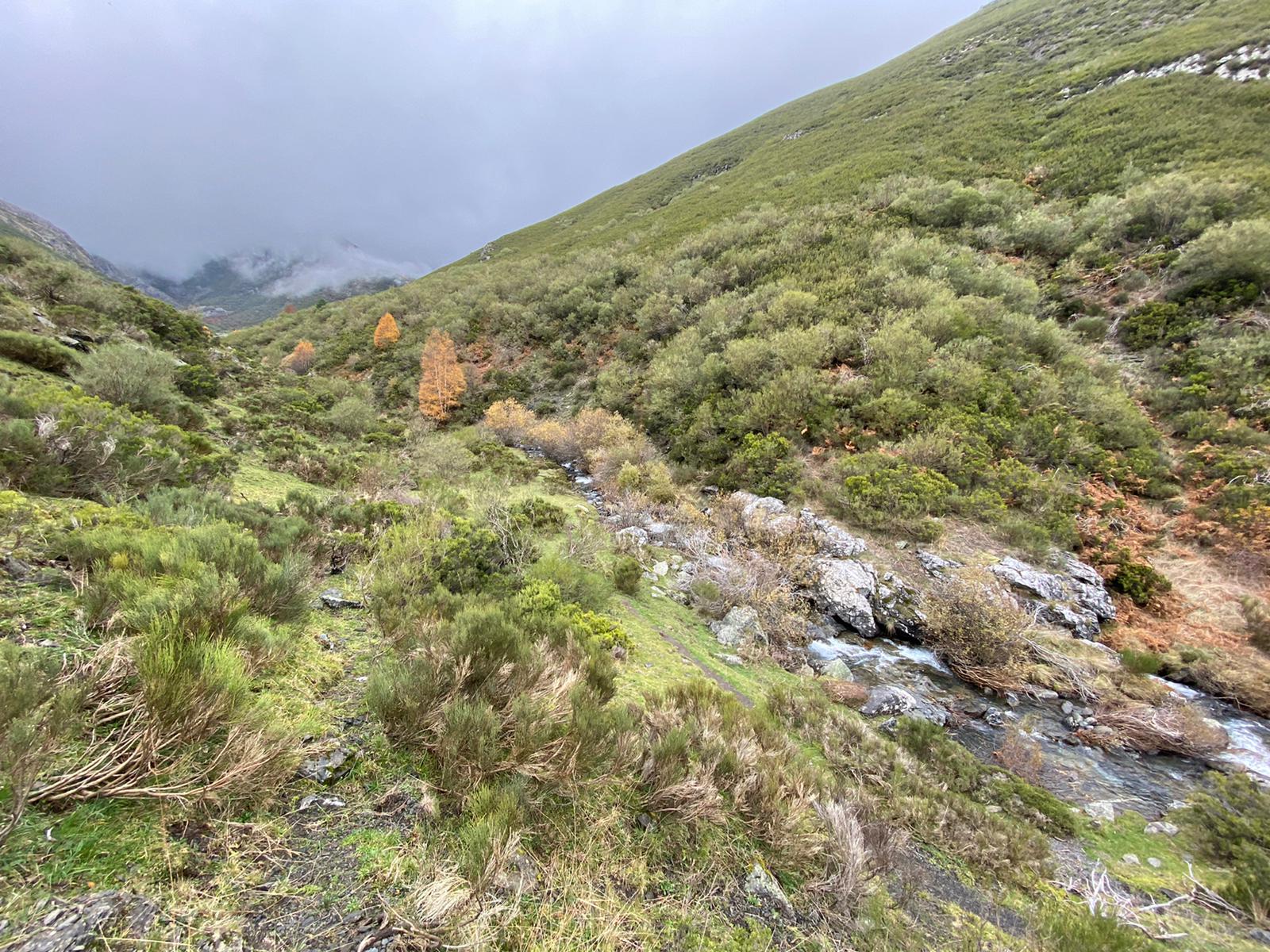 Imagen de la cascada del Reguero Cándano