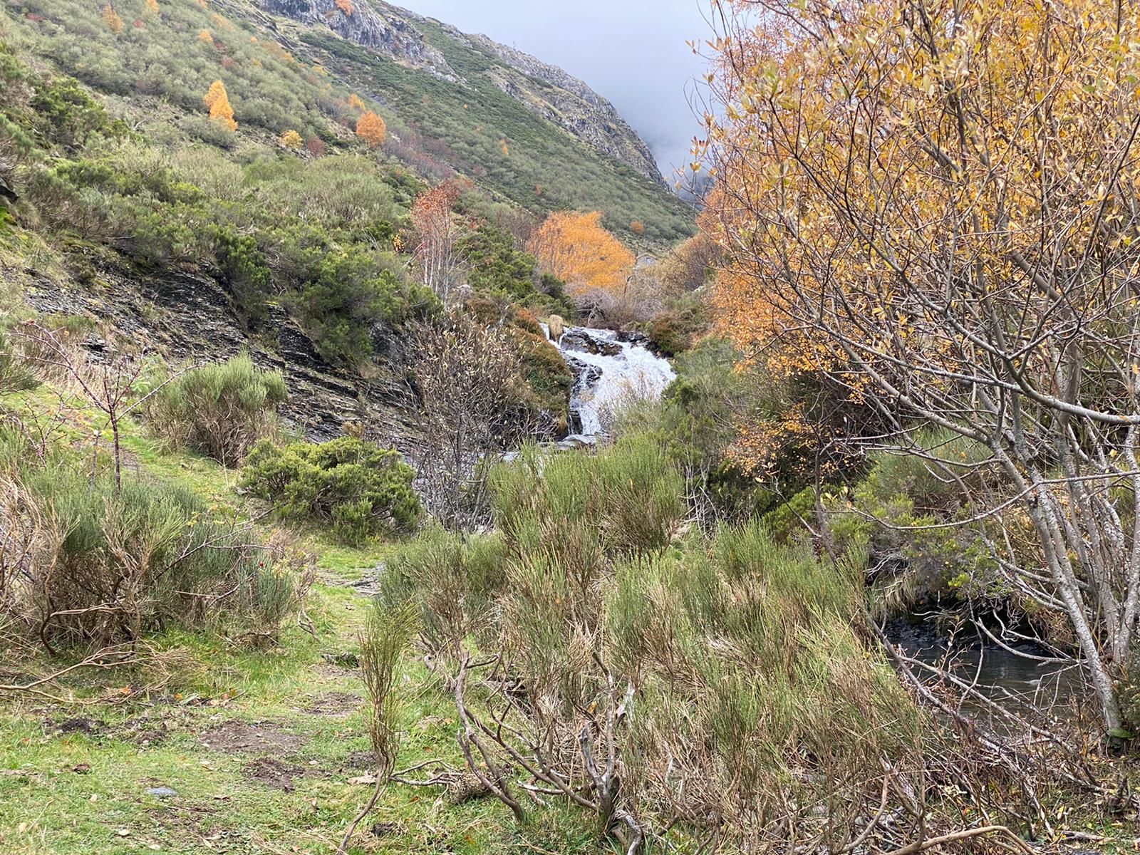 Imagen de la cascada del Reguero Cándano