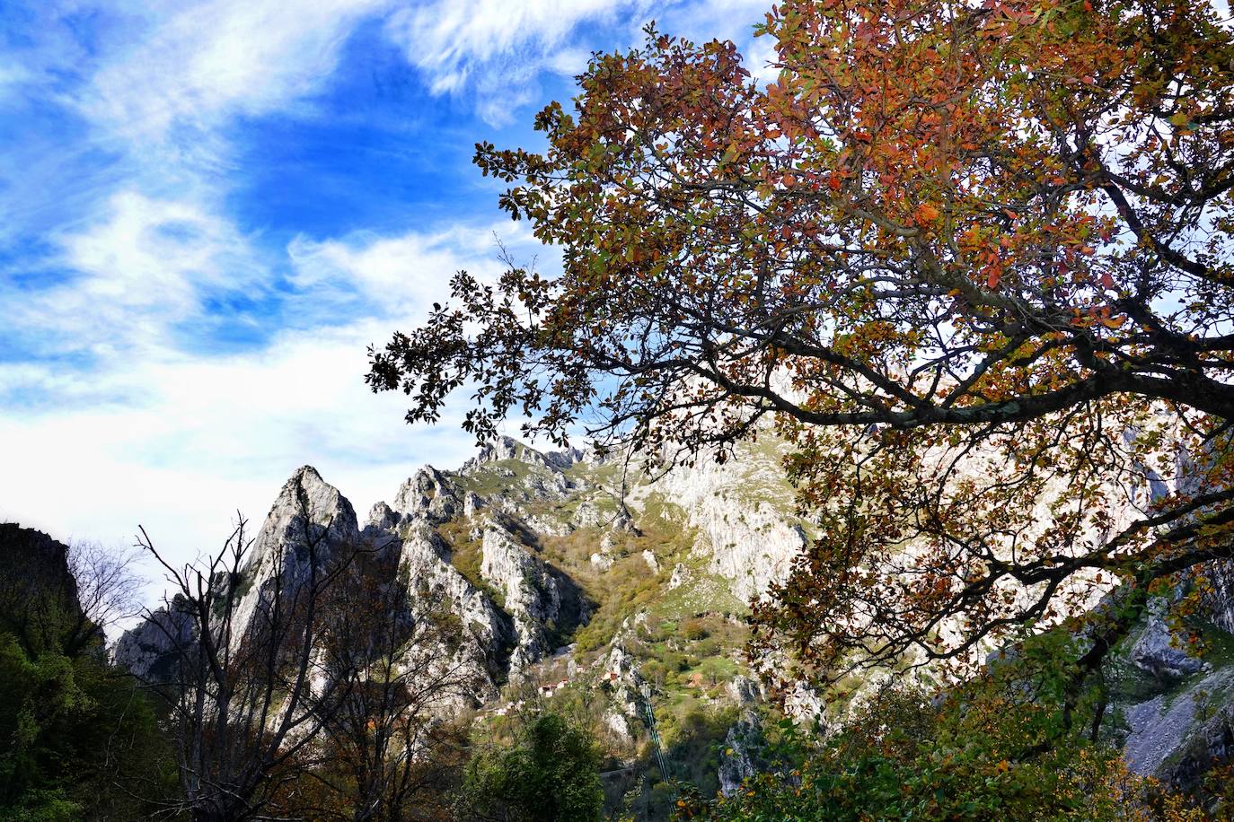 Los colores del otoño, e incluso el blanco de la nieve, ya han teñido los rincones de los Picos de Europa, uno de los lugares más imponentes de Asturias. En este espacio encontraremos las cumbres más altas de la Cordillera Cantábrica como la más emblemática: el Picu Urriellu o Naranjo de Bulnes con sus 2.519 metros de altitud. Un total de 67.127 hectáreas que conforman una de las mejores reservas mundiales de los ecosistemas ligados al bosque atlántico.