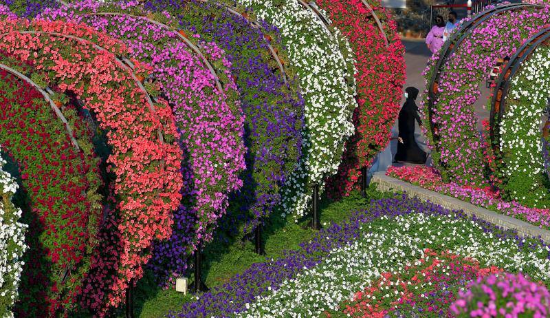 El Dubai Miracle Garden, el jardín de flores más grande del mundo, es el hogar de gigantes estructuras y millones de variedades de flores y plantas. Allí habitan enormes gatos, aviones que parecen hechos a escala real, caballos que multiplican su tamaño o gigantes elefantes. Y todas estas construcciones tienen en común que están realizadas con flores y plantas. 