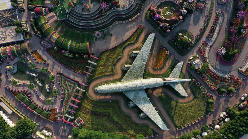 El Dubai Miracle Garden, el jardín de flores más grande del mundo, es el hogar de gigantes estructuras y millones de variedades de flores y plantas. Allí habitan enormes gatos, aviones que parecen hechos a escala real, caballos que multiplican su tamaño o gigantes elefantes. Y todas estas construcciones tienen en común que están realizadas con flores y plantas. 