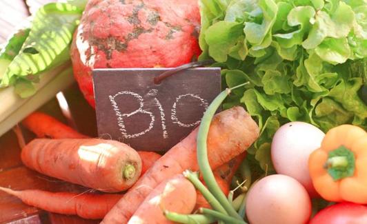 Una dieta basada en productos vegetales ayuda a mejorar el sistema inmunológico.