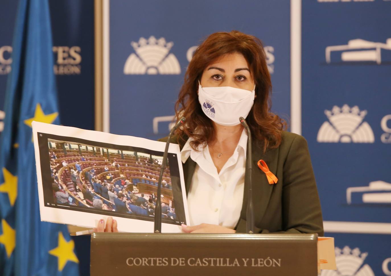 Fotos: Ciudadanos presenta iniciativas contra la Ley Celaá en Castilla y León