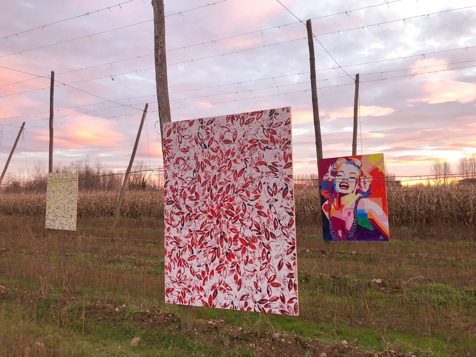 Esta exposición «Alambradas del Arte» estará hasta el día 9 de diciembre en una finca de lúpulo de Carrizo de la Ribera