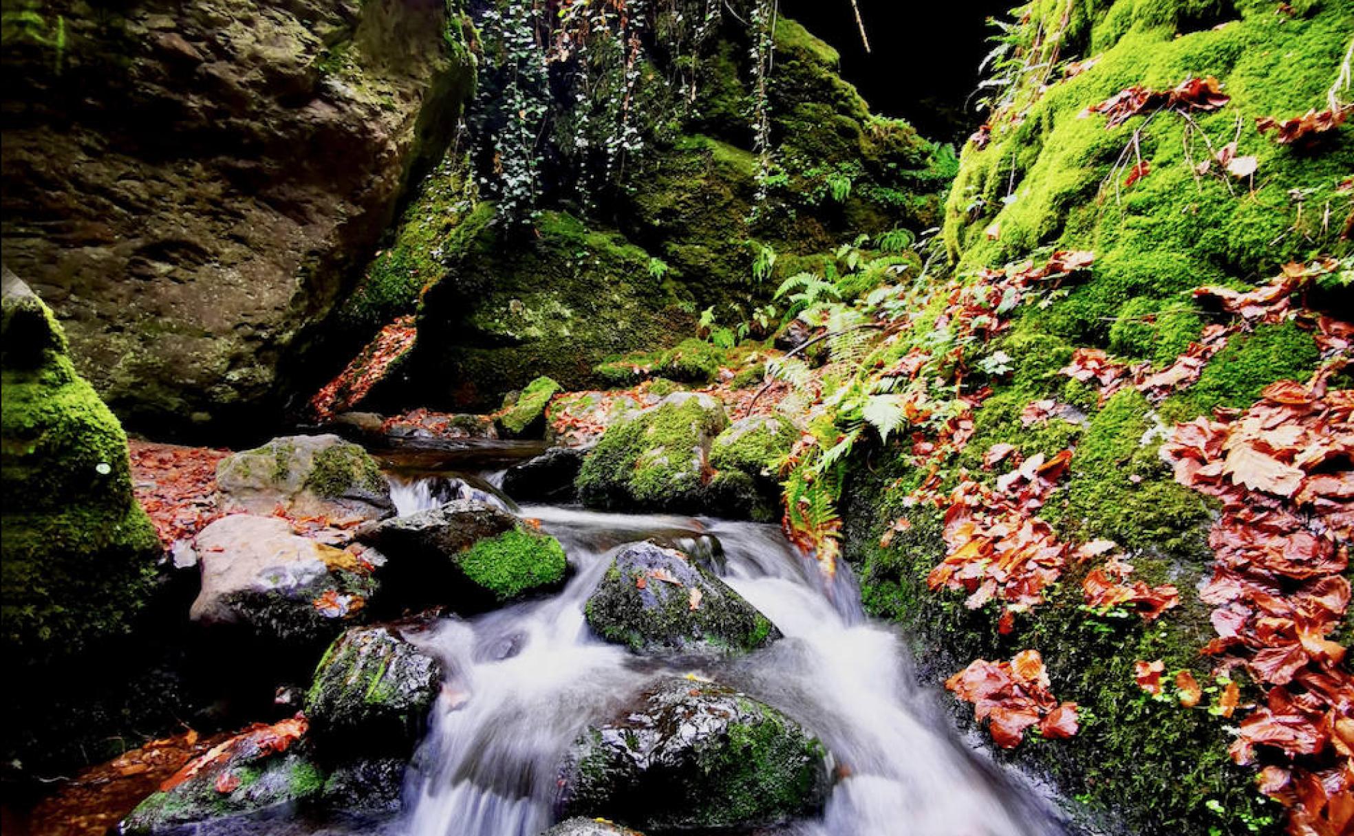 Arroyo de la Górgora, una gran belleza captada por la leonesa Gloria Álvarez.