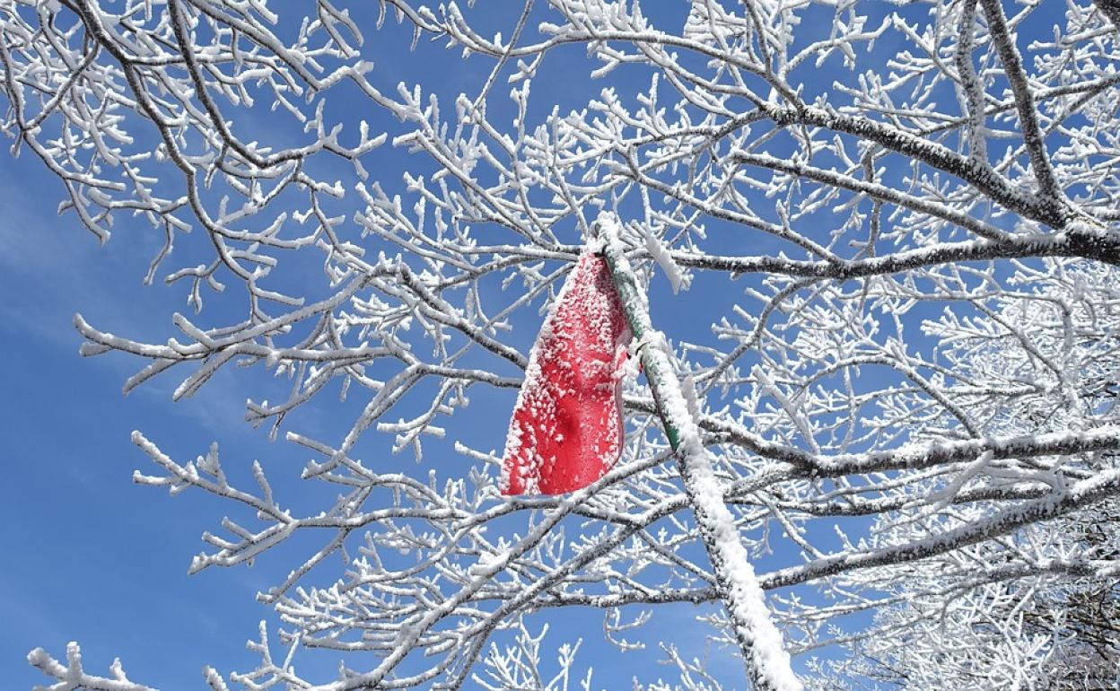 La nieve podría tener acumulaciones de hasta 20 centímetros. 