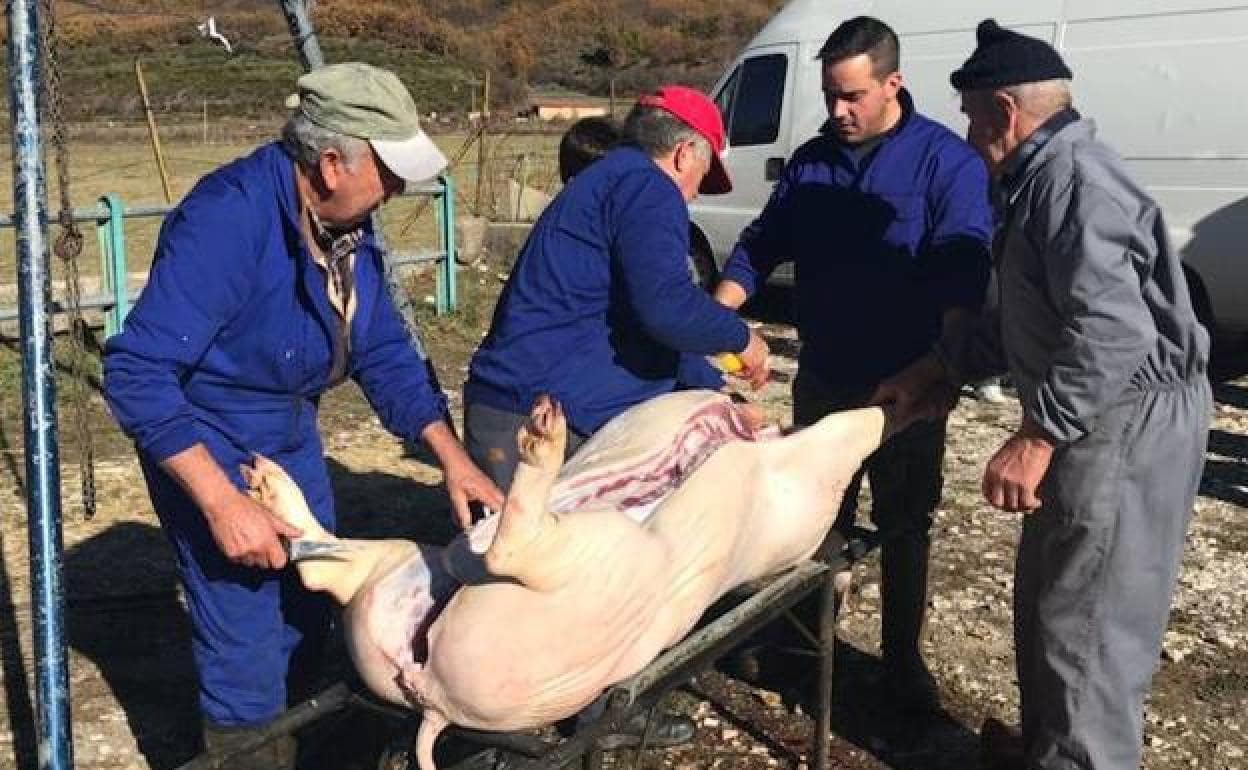 Un grupo de personas en las labores de matanza.