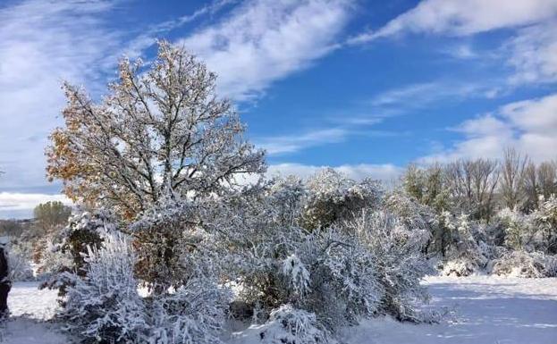 La nieve ha hecho acto de presencia en la provincia. 