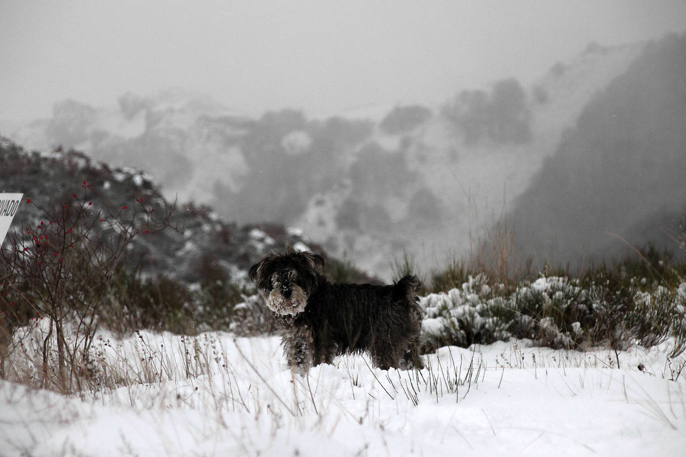 La nieve deja impactantes imágenes en la provincia. 