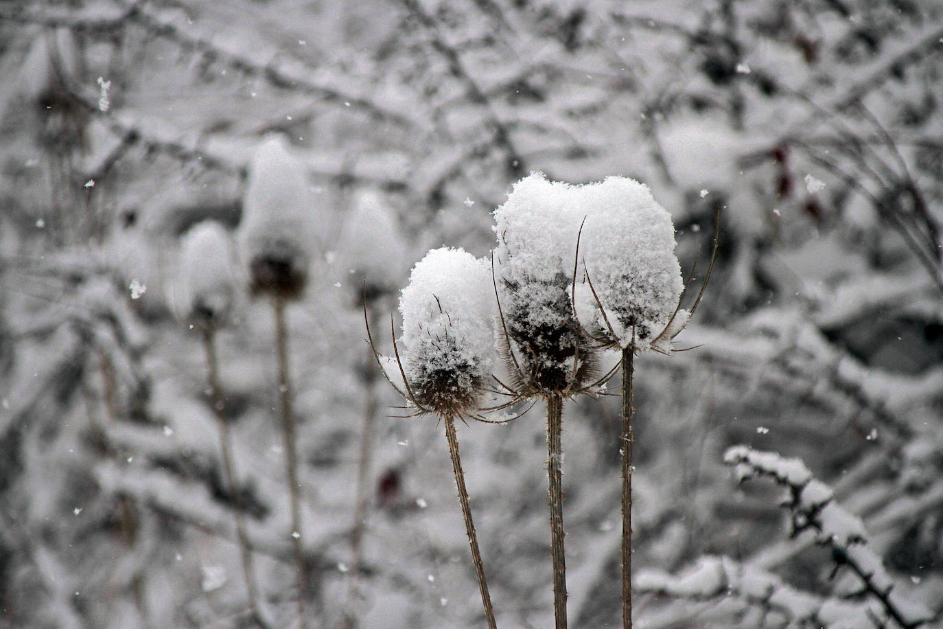 La nieve deja impactantes imágenes en la provincia. 