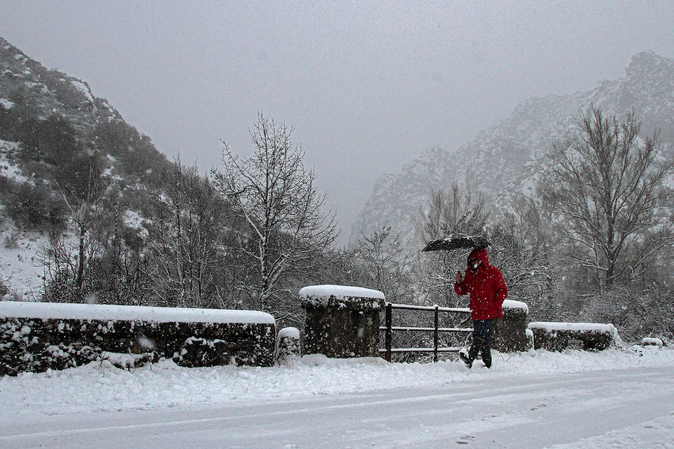 La nieve deja impactantes imágenes en la provincia. 