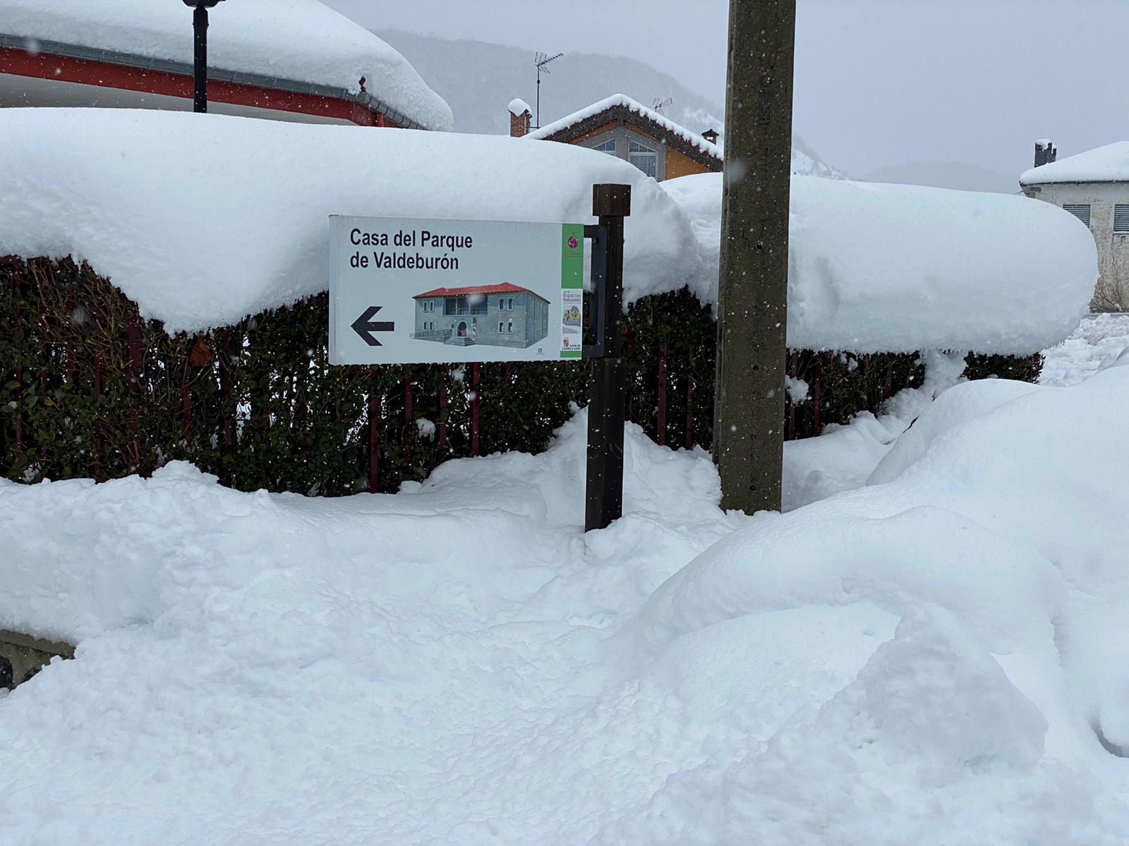 Fotos: La nieve tiñe de blanco el norte de la provincia