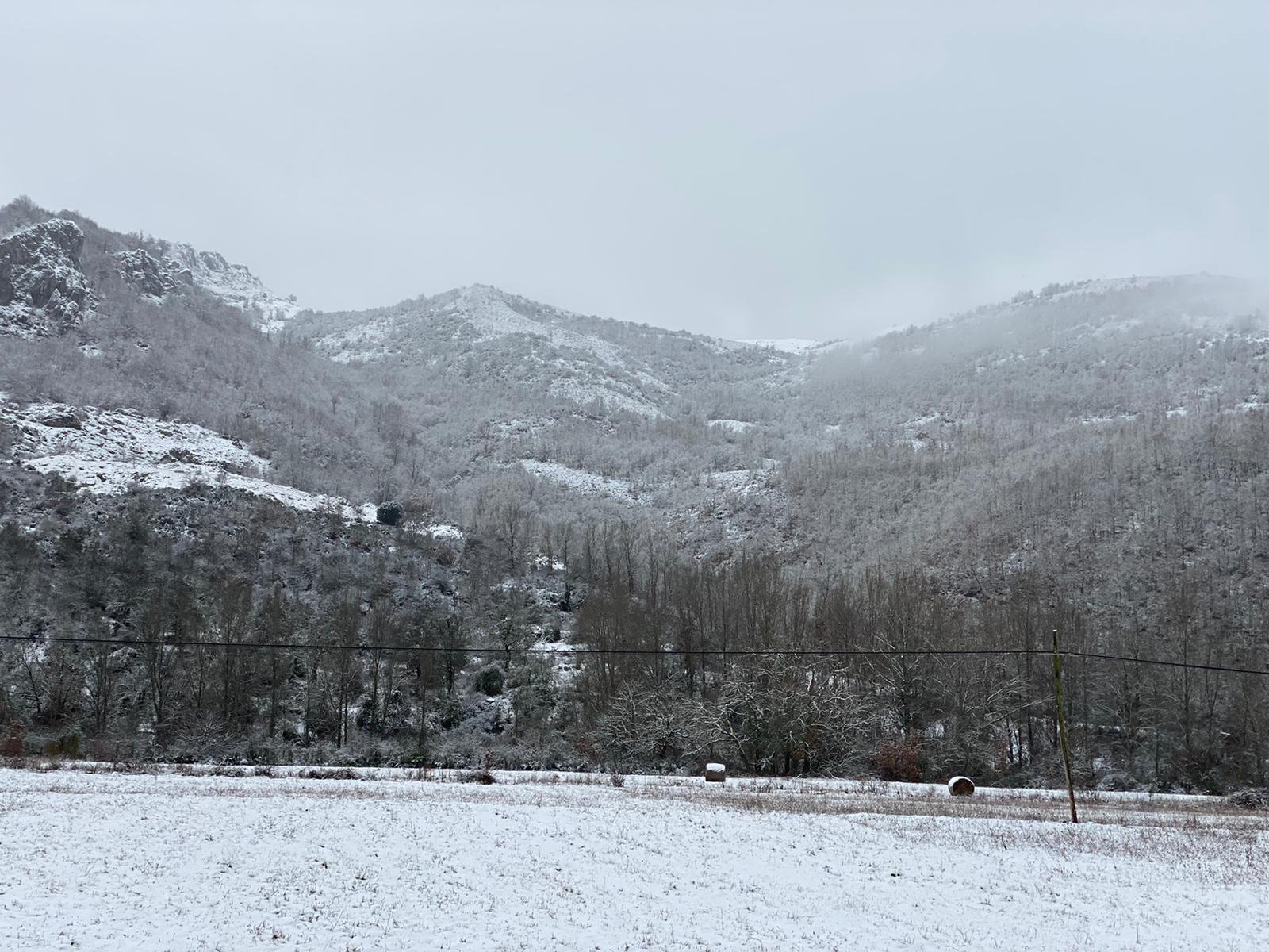 Fotos: La nieve tiñe de blanco el norte de la provincia