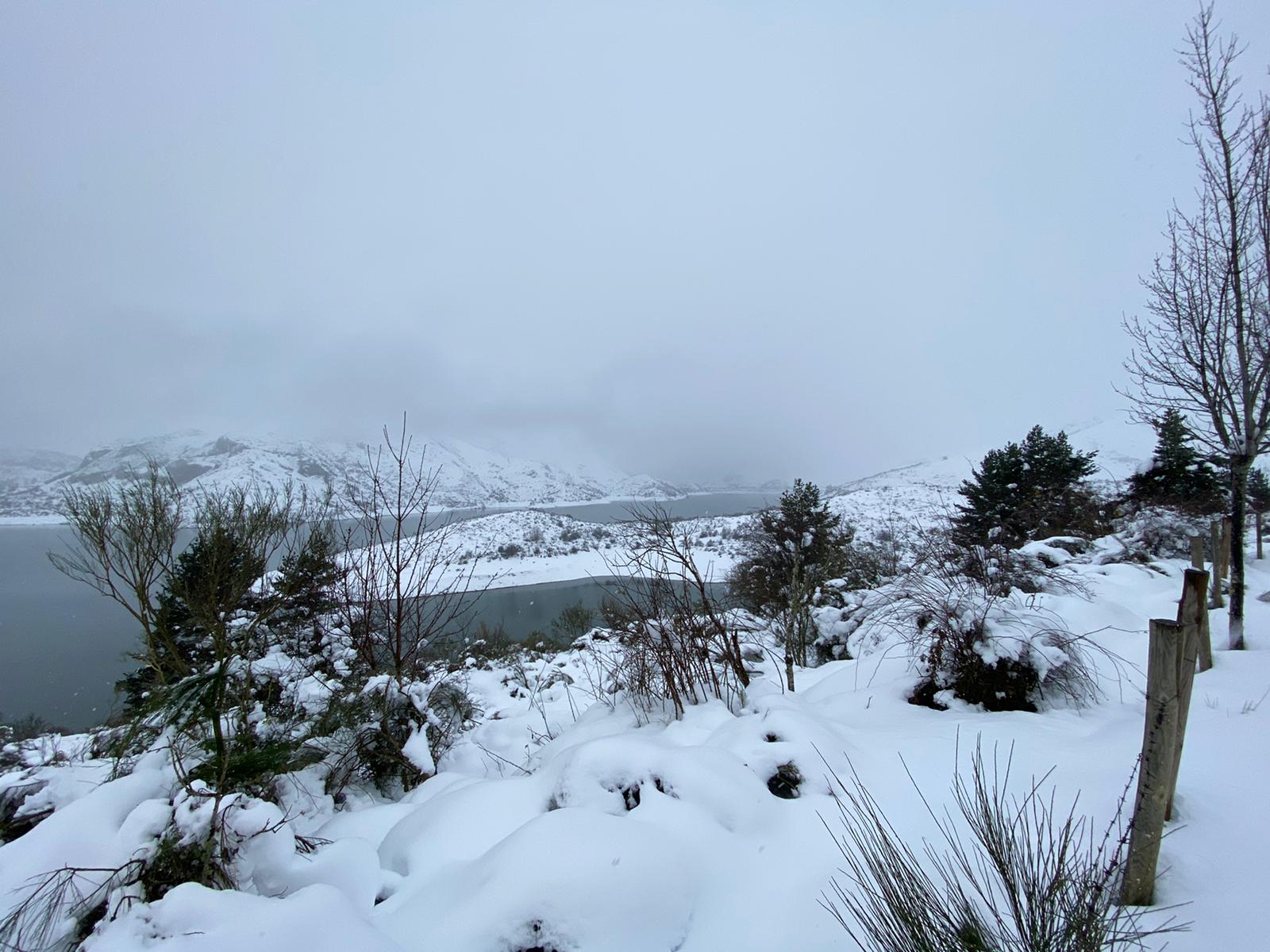 Fotos: La nieve tiñe de blanco el norte de la provincia