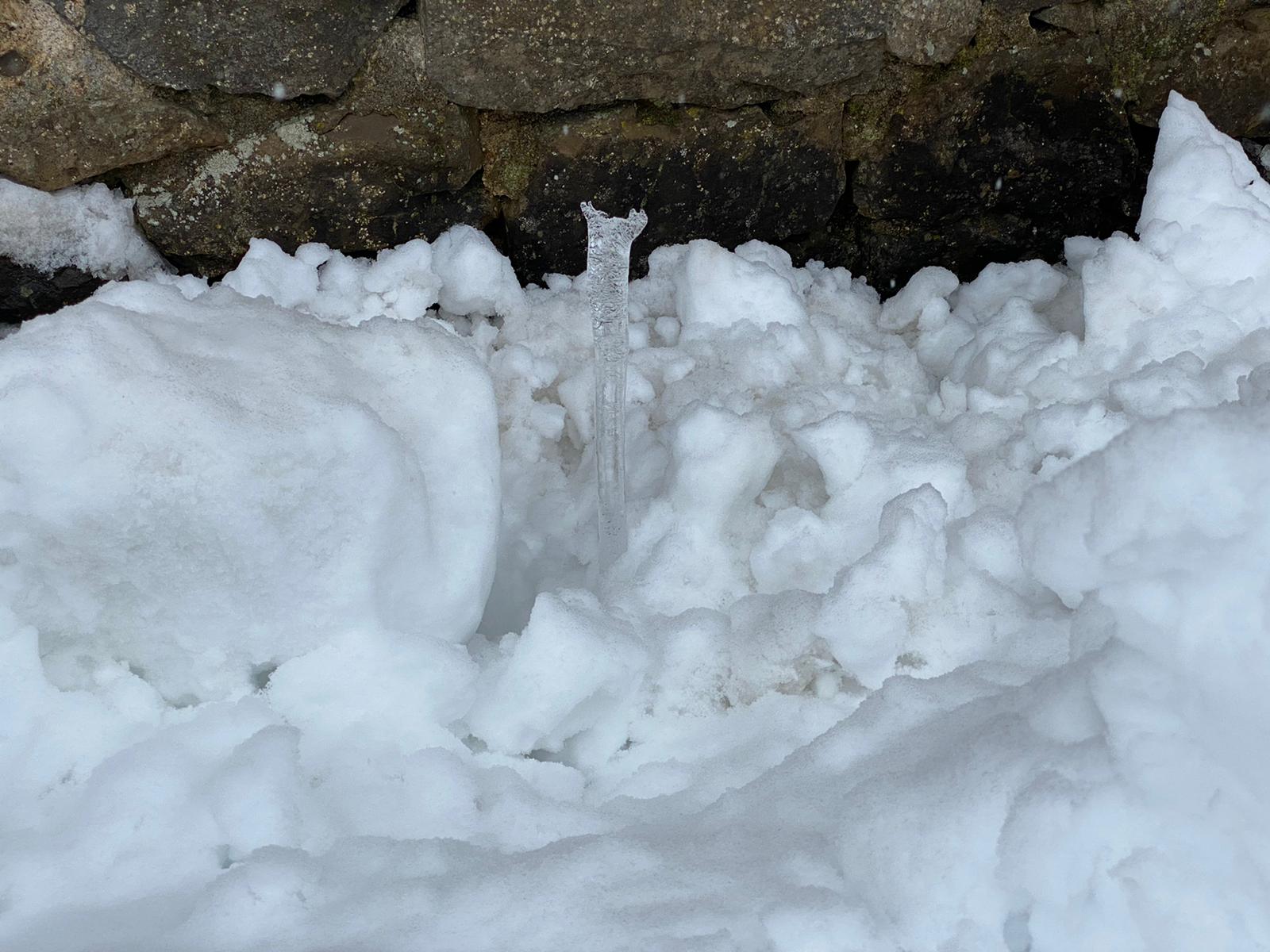 Fotos: La nieve tiñe de blanco el norte de la provincia