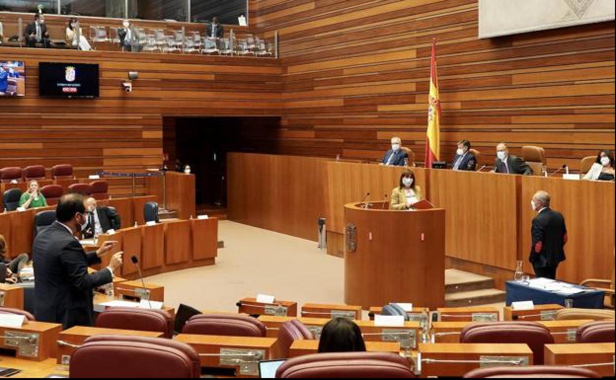 Las Cortes de Castilla y León volverán a debatir la ley.