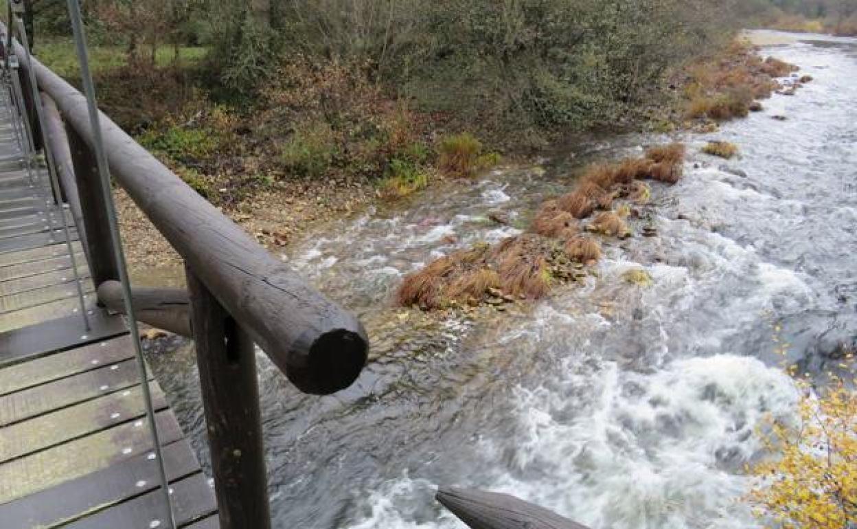 La CHD se mantiene atenta al «alto caudal» del río Luna en la provincia de León