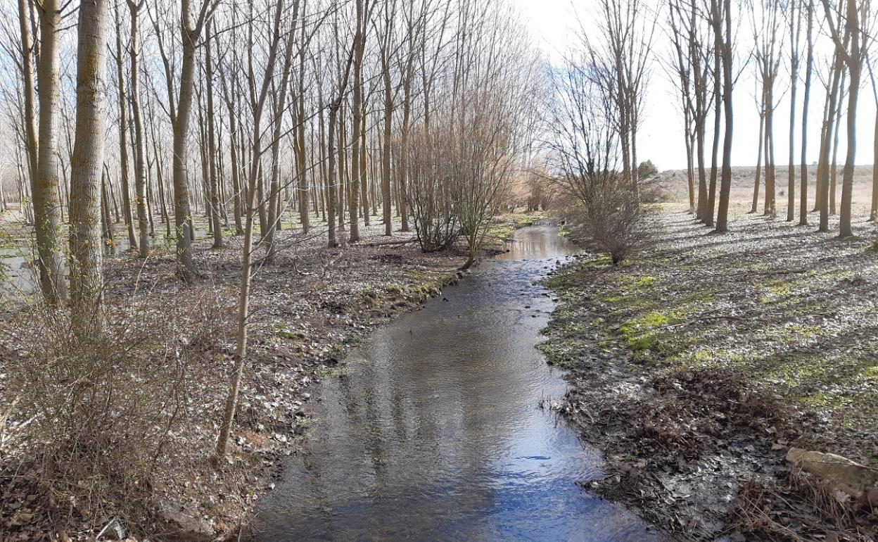 Ecologistas en acción denuncia el riesgo de contaminación que supone la planta de compsotaje de lodos en Santas Martas.