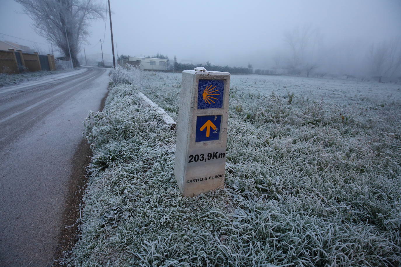 Fotos: Intensa helada en El Bierzo