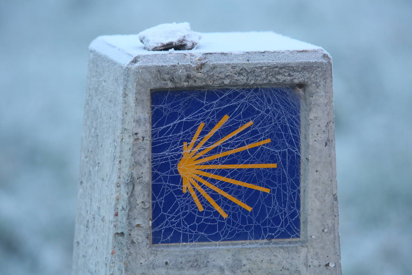 Fotos: Intensa helada en El Bierzo