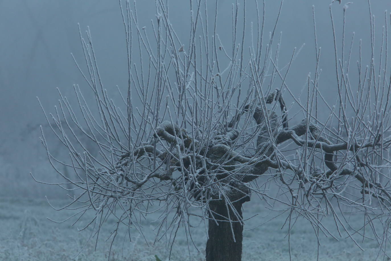 Fotos: Intensa helada en El Bierzo