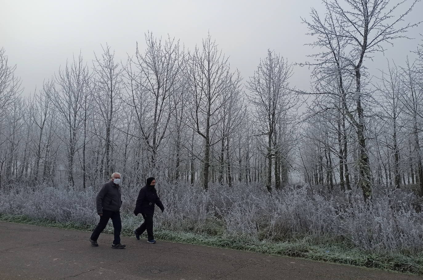Fotos: Intensa helada en El Bierzo