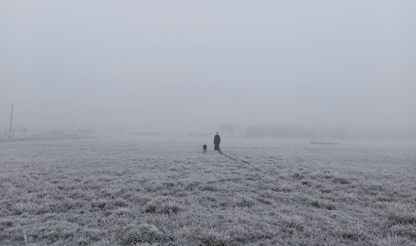 Fotos: Intensa helada en El Bierzo