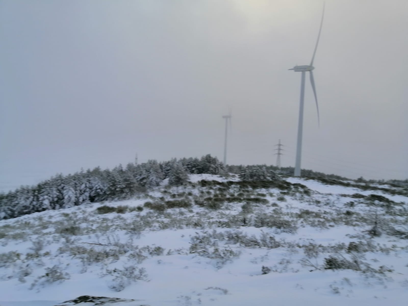 La provincia ya está teñidas de blanco dejando unos bonitos paisajes. 