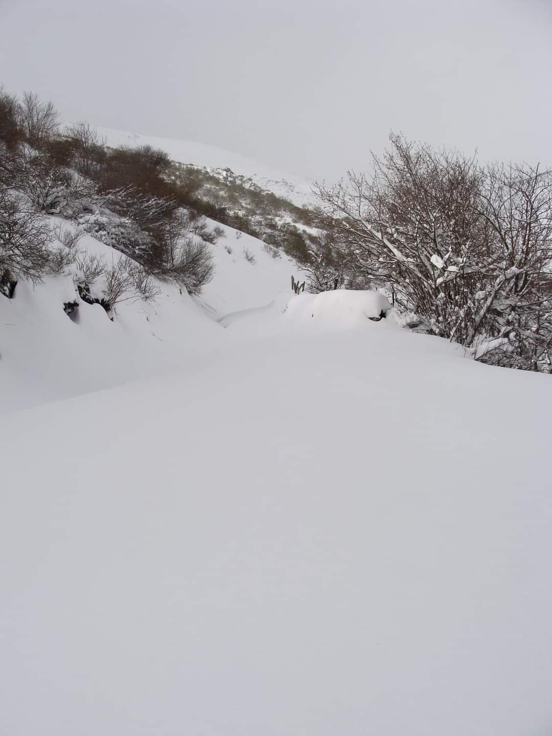 La provincia ya está teñidas de blanco dejando unos bonitos paisajes. 