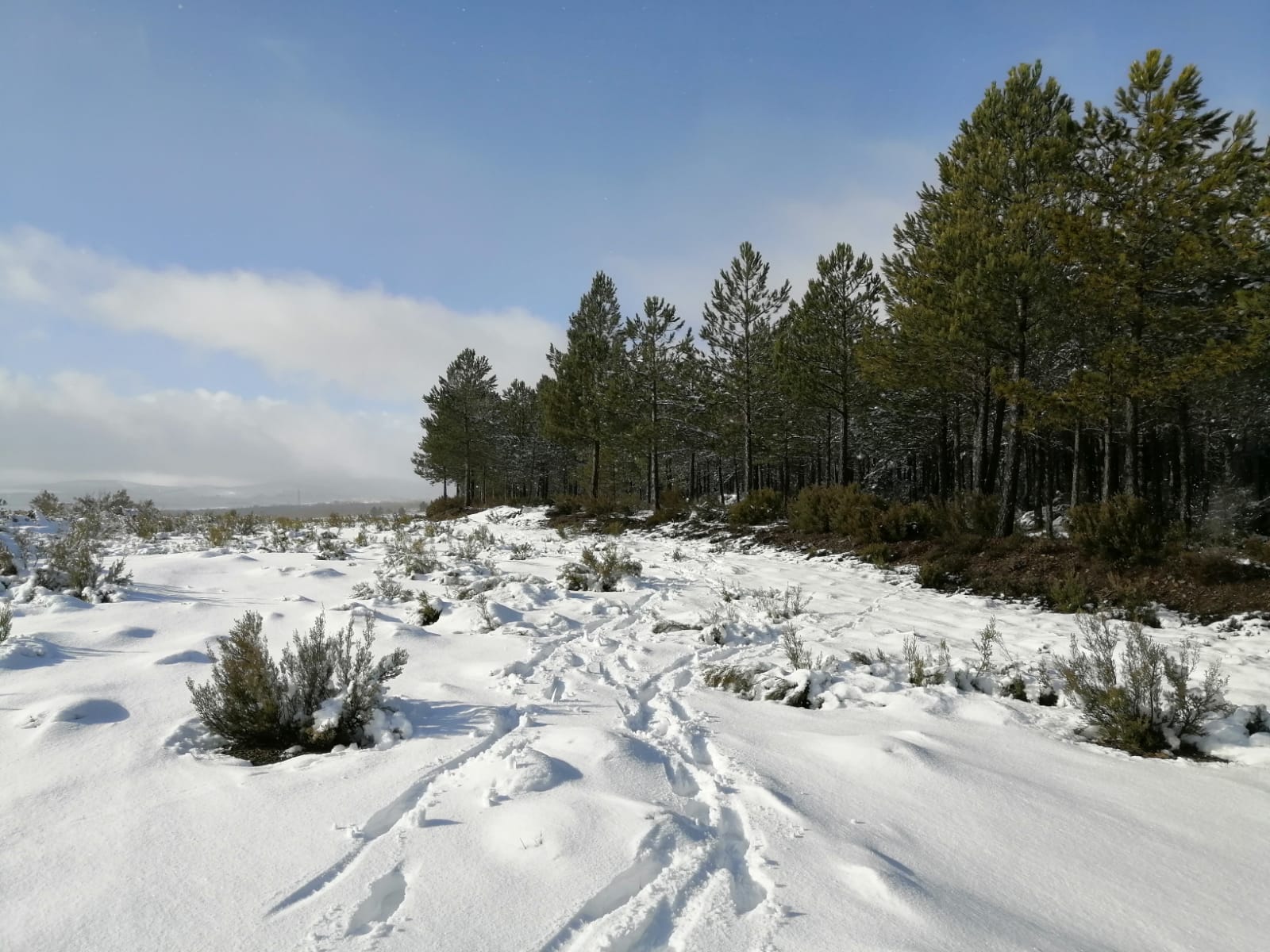 La provincia ya está teñidas de blanco dejando unos bonitos paisajes. 