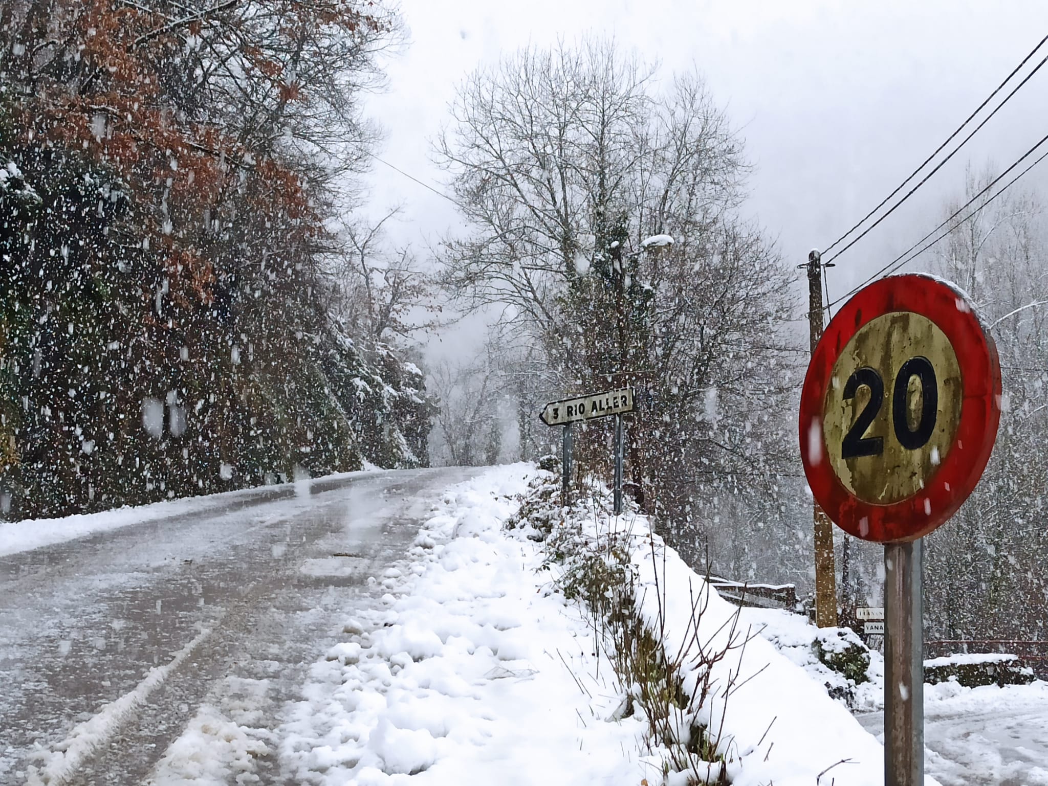 La nieve obliga a utilizar cadenas en dos puntos de la red principal de León y corta cuatro de la red de secundaria en León y Burgos. 