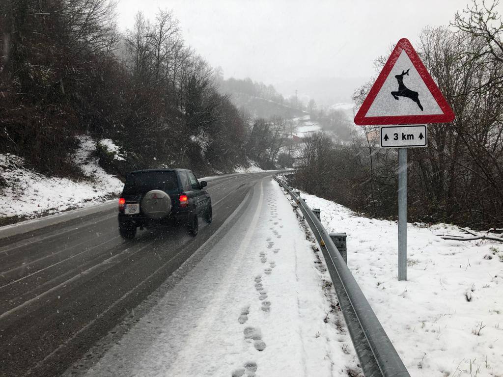 Fotos: Picos de Europa comienza el año bajo la nieve