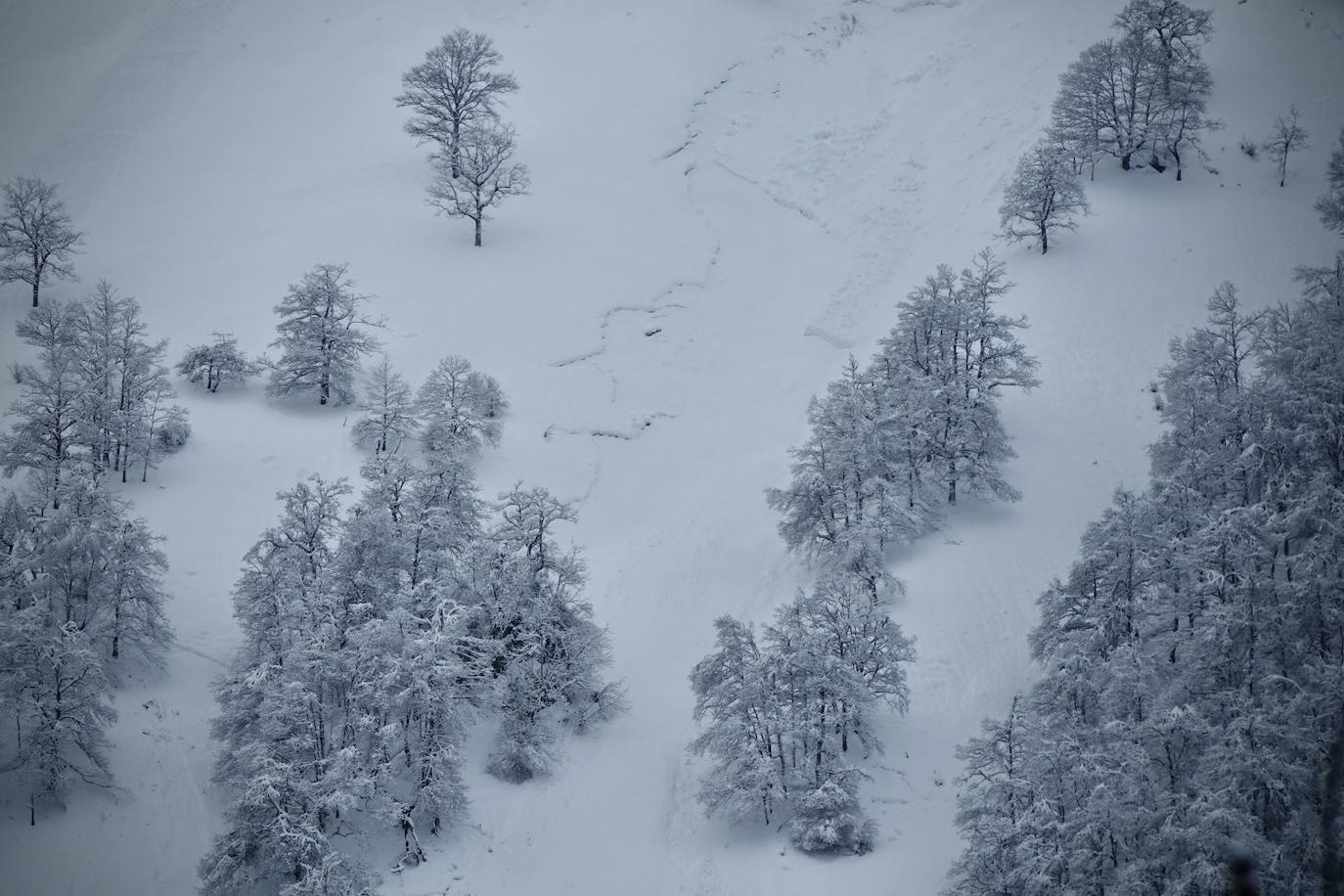 Fotos: Picos de Europa comienza el año bajo la nieve