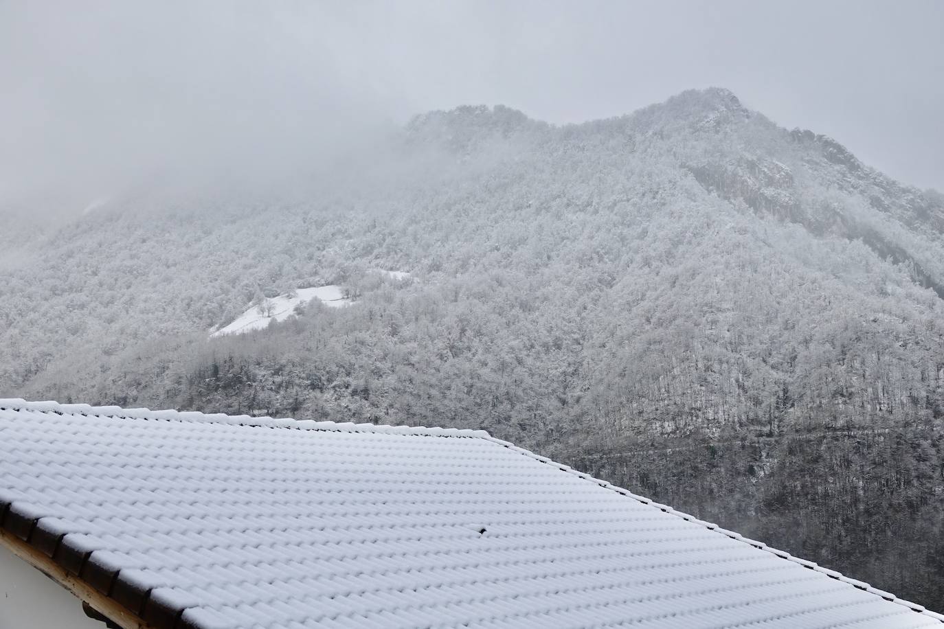 Fotos: Picos de Europa comienza el año bajo la nieve