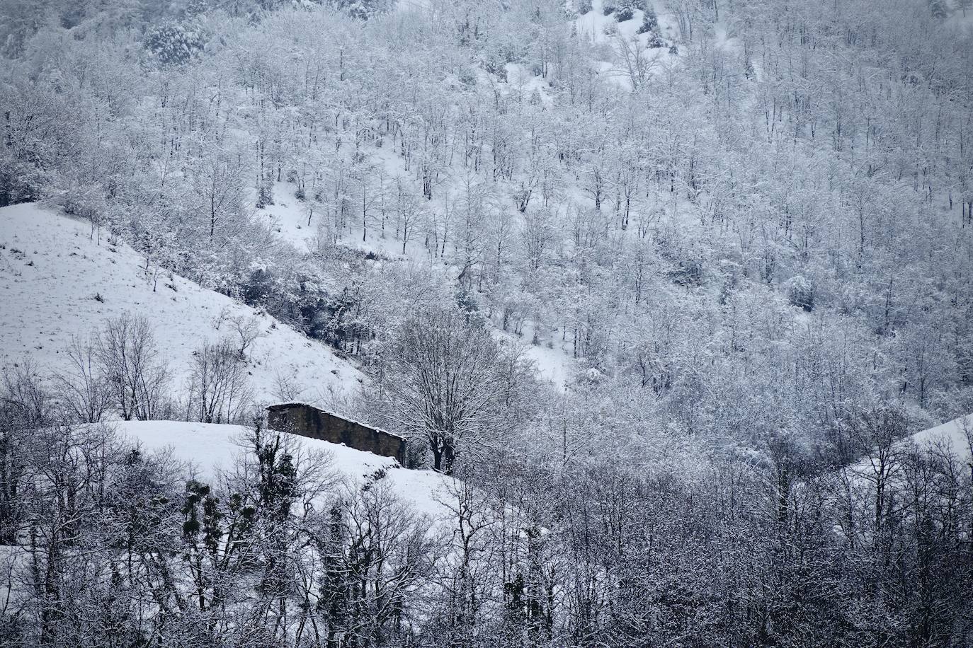 Fotos: Picos de Europa comienza el año bajo la nieve