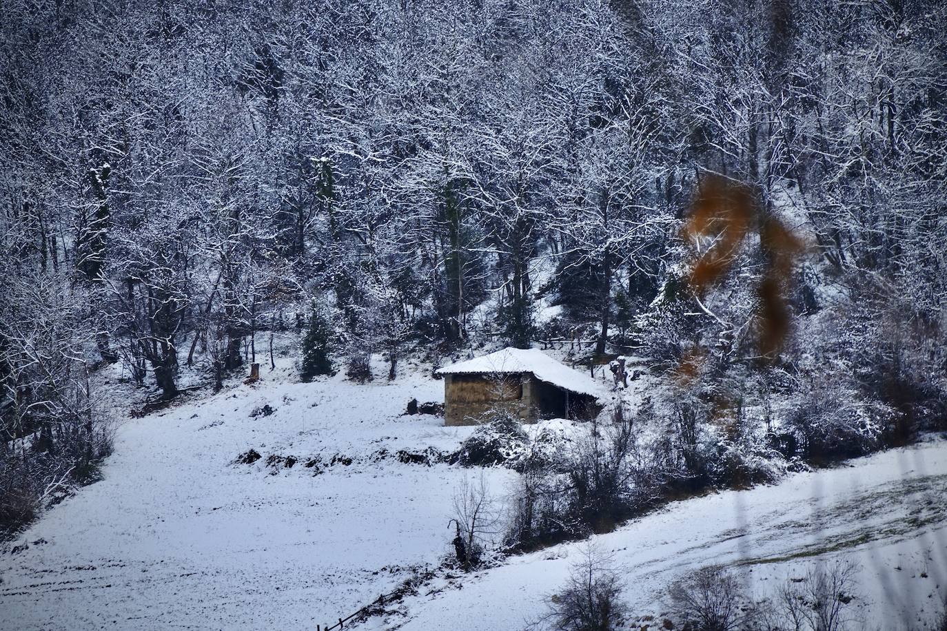 Fotos: Picos de Europa comienza el año bajo la nieve