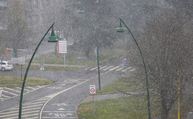 Galería. La nieve cae en León.