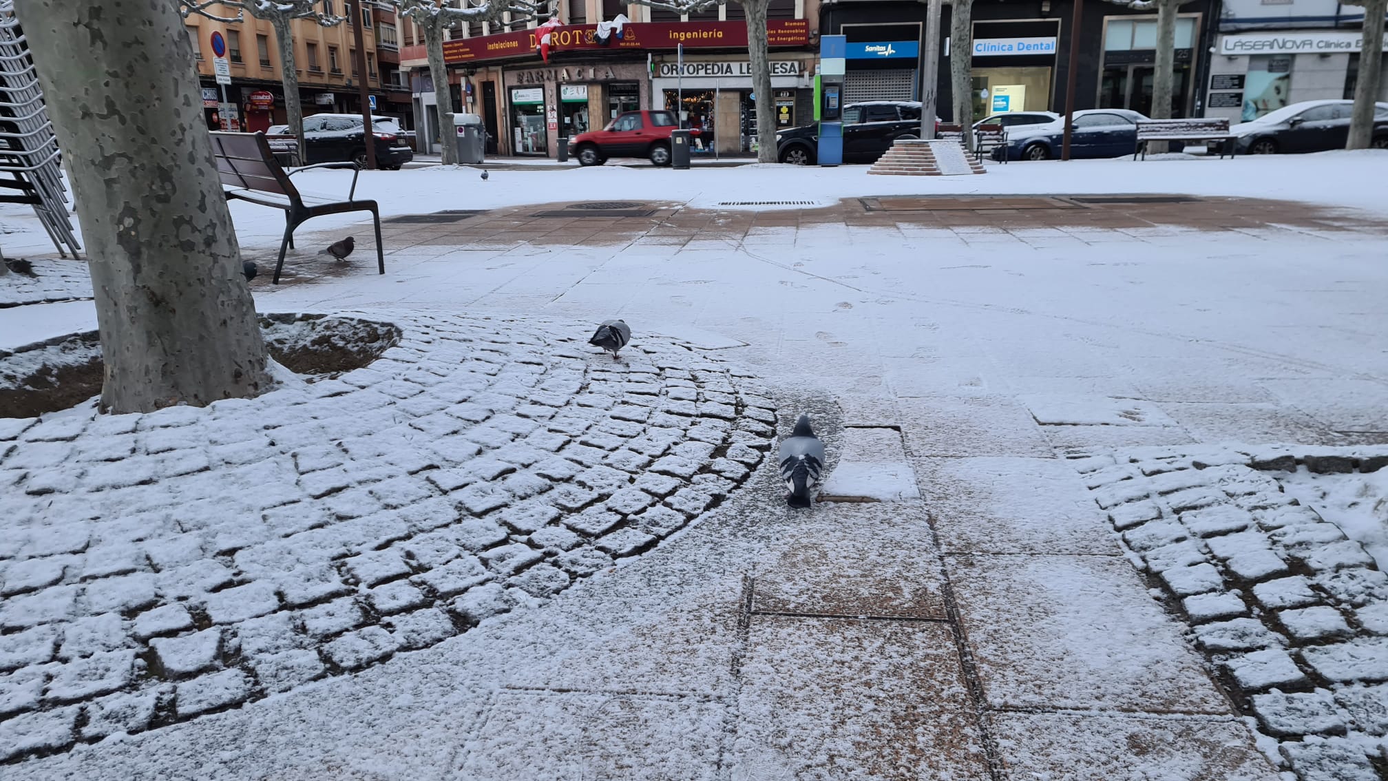 La ciudad se cubre de un manto blanco tras los copos caídos durante la madrugada.