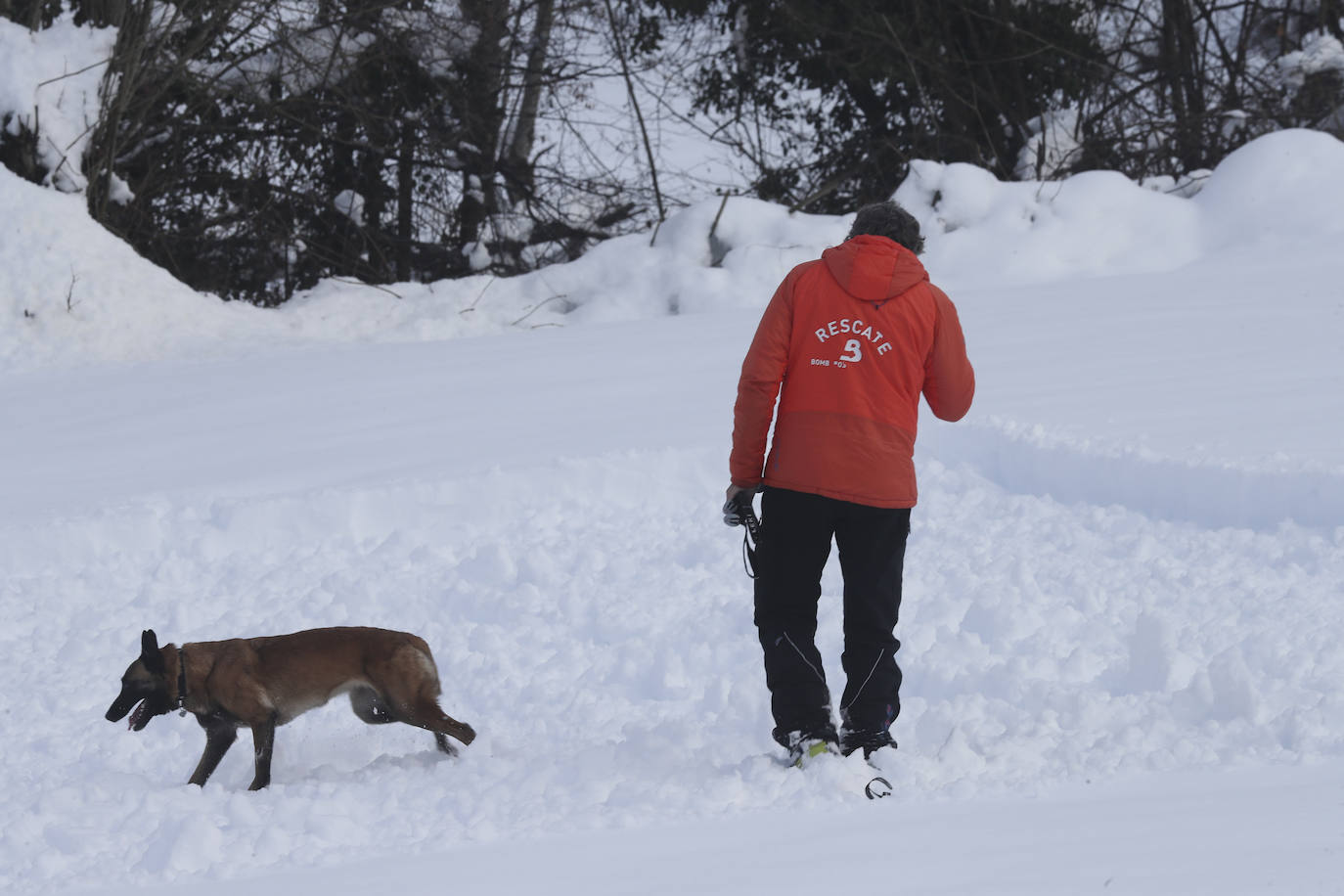 Tras realizar una valoración de la zona vía aérea que les ha permitido estudiar el terreno nevado, el estado del mismo les impide continuar con la búsqueda del cuerpo de Virgilio García