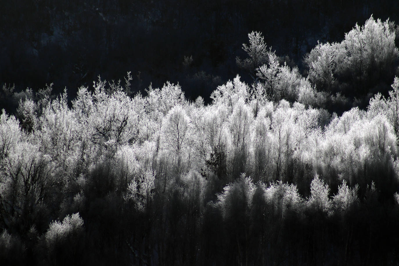 Fotos: La nieve deja imágenes sorprendentes en la montaña leonesa