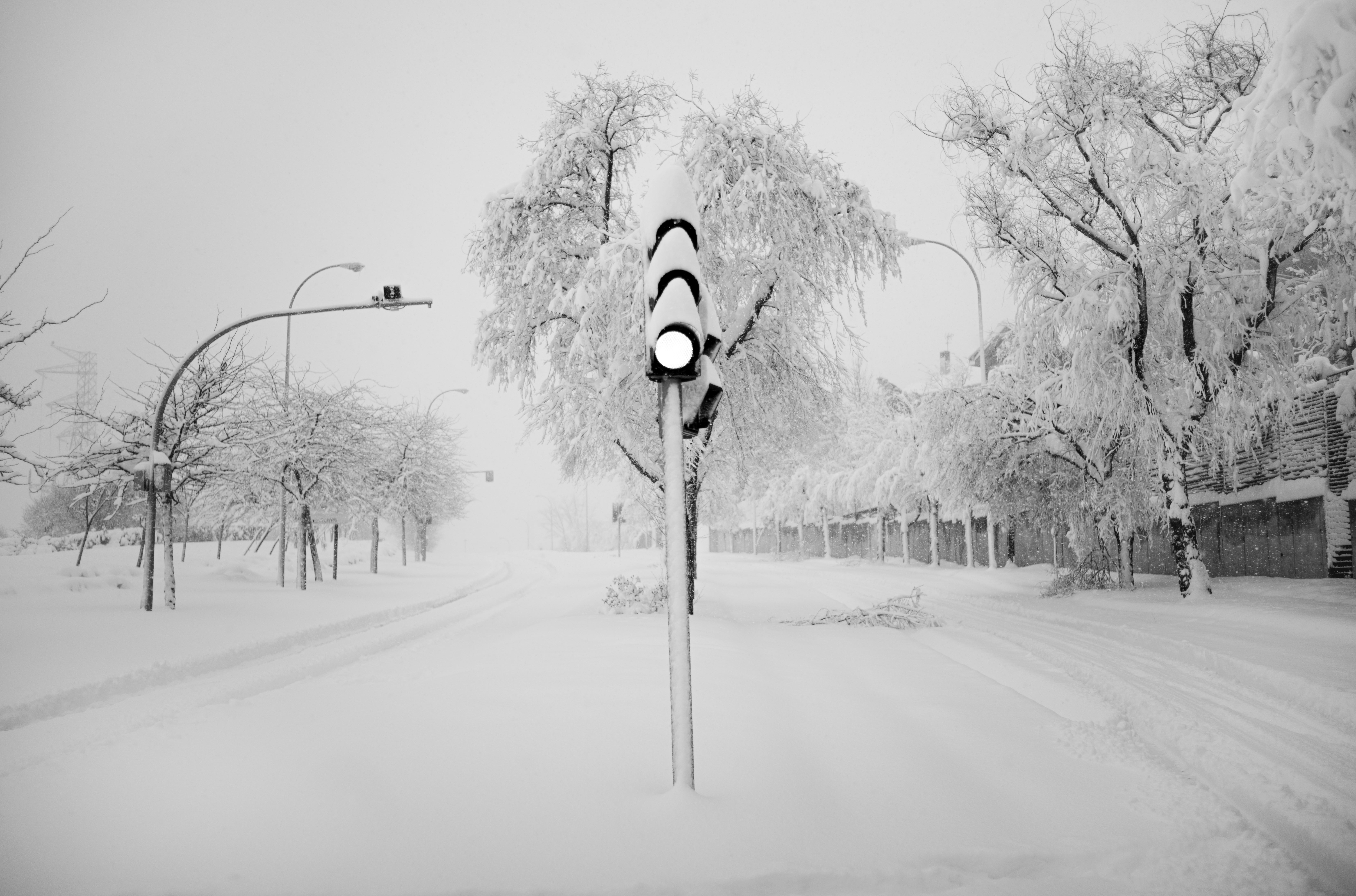 Alrededores de Aravaca, a las afueras de Madrid, con las ramas de los árboles soportando la nieve. Muchos árboles cedieron en la capital y se teme que durante este domingo la escena se repita, por lo que se ha pedido a la población que extreme la vigilancia si necesita salir a la calle.