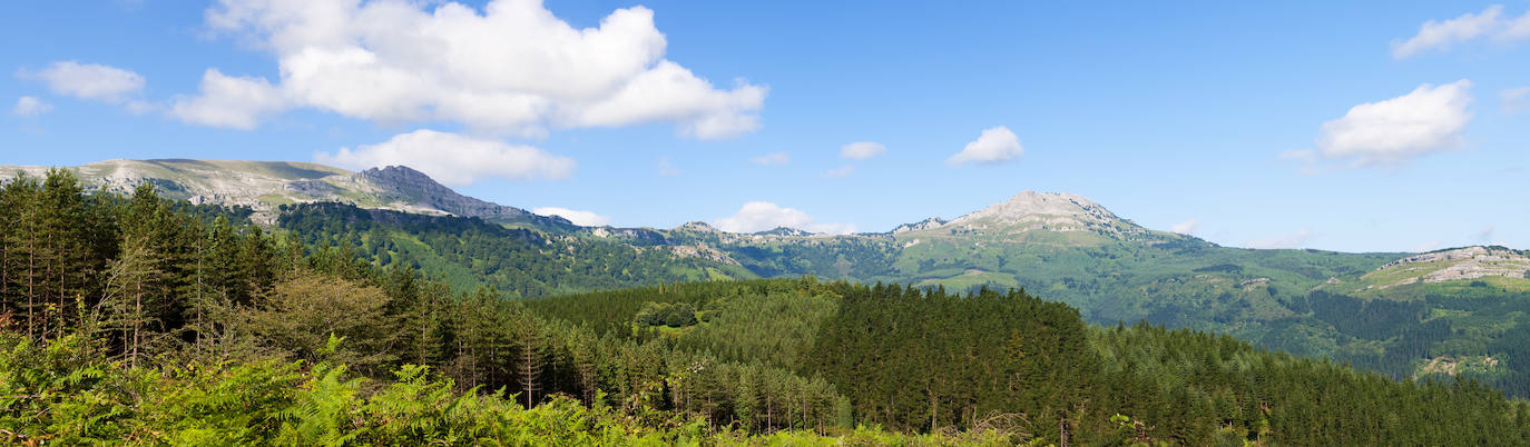 Parque Natural de Gorbeia (País Vasco)