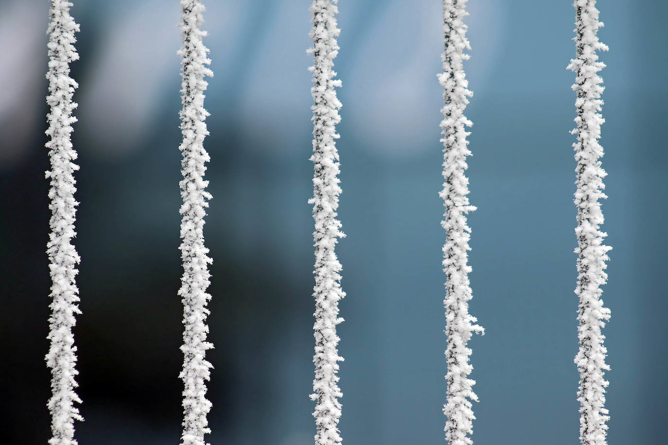 Los campos del Páramo muestra su cencellada. 