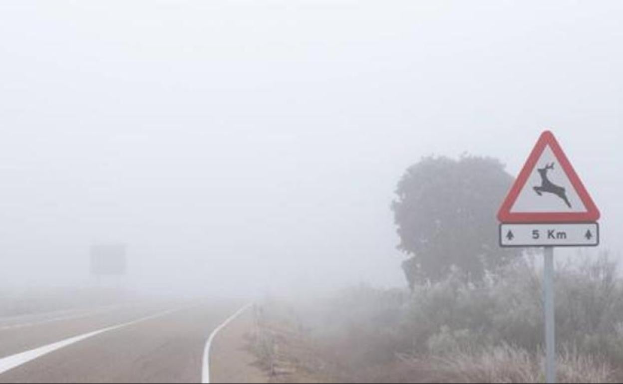 Tramo de carretera con niebla en la comunidad. 